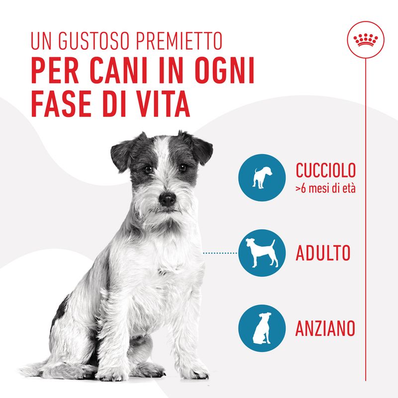ROYAL CANIN Training Treats 110g ROYAL CANIN Training Treats 110g